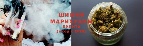 гидра Магас