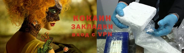 гидра Магас
