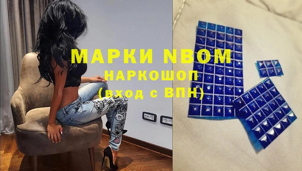гидра Магас