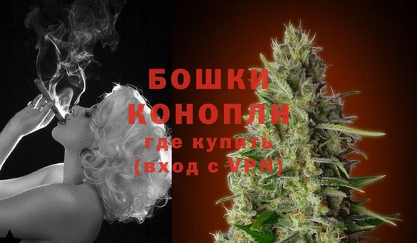 гидра Магас