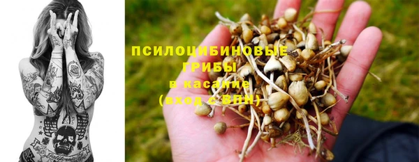гидра Магас