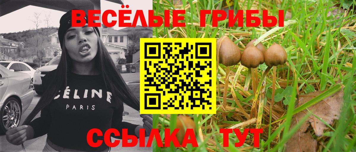 Галлюциногенные грибы Psilocybine cubensis  Вход с VPN  Кызыл 